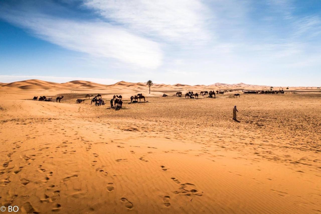 Merzouga Glamping Camp المظهر الخارجي الصورة